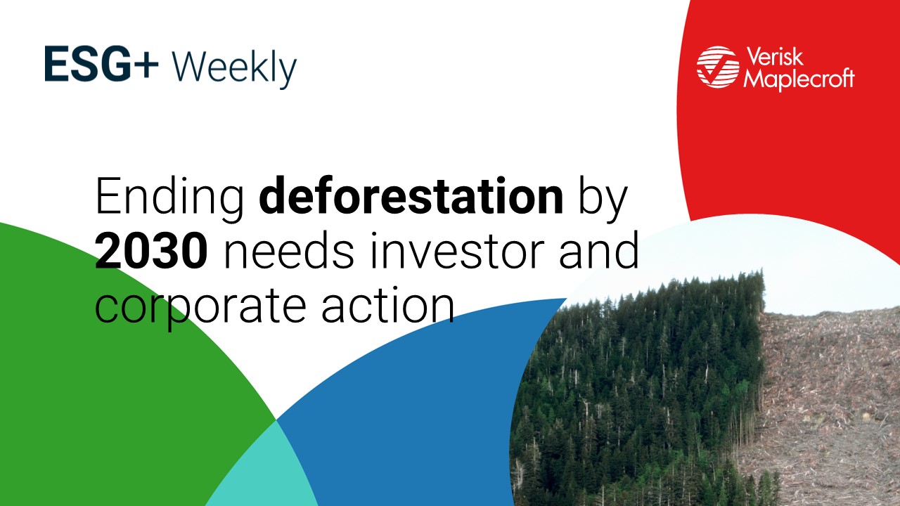 Ending Deforestation By 2030 Needs Investor And Corporate Action