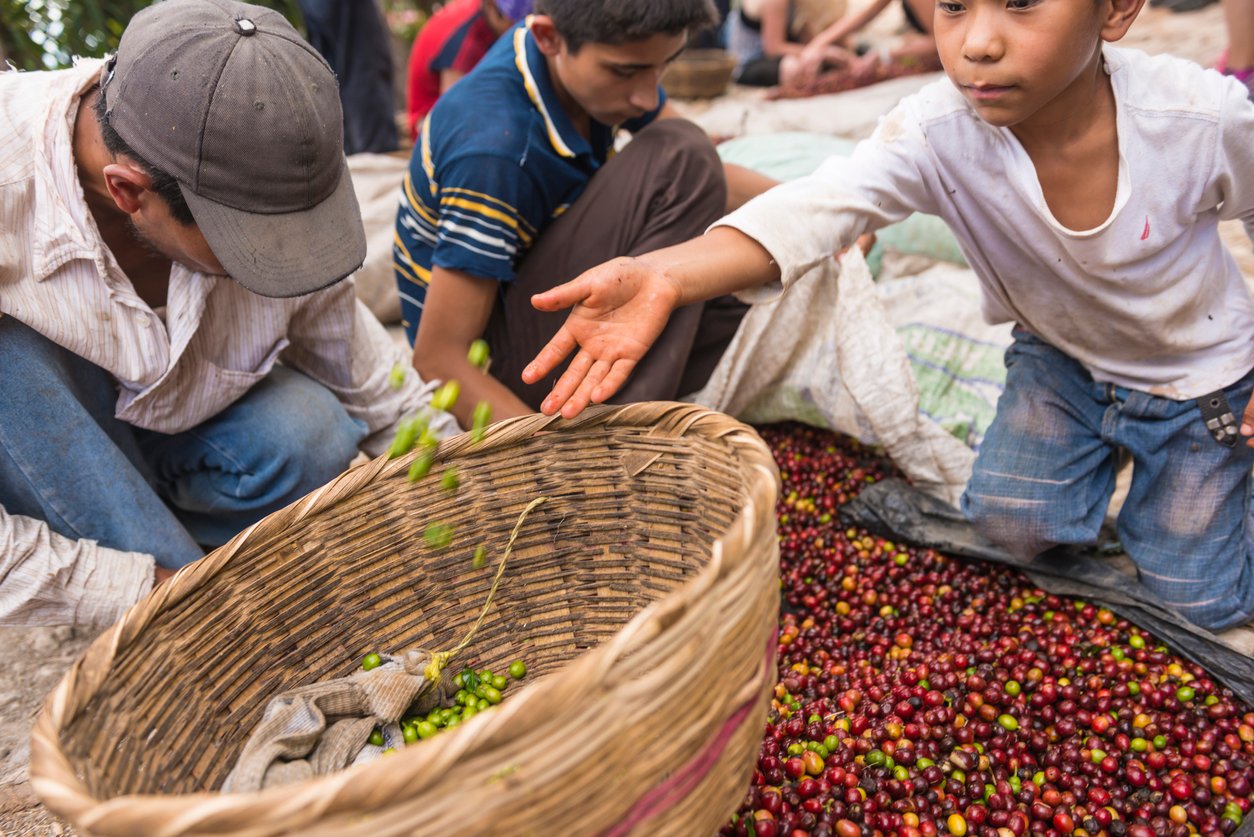 Everything You Need To Know About The Uyghur Forced Labour Prevention ...